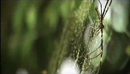 เพลง "ศรัทธา"