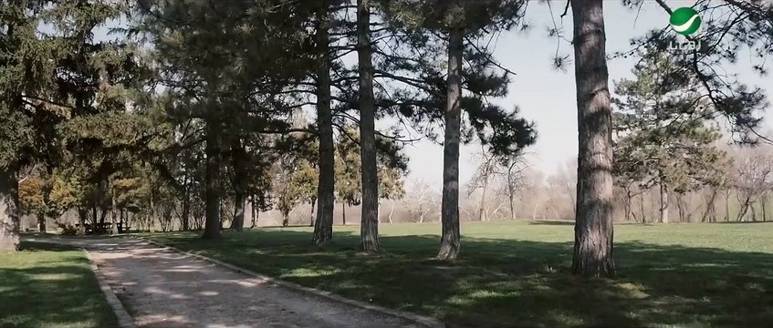 وائل كفوري _ الغرام المستحيل فيديو كليب I Wael Kfoury _ Al Gharam El Moustahil Video Clip