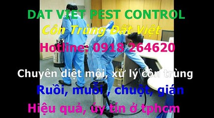 Cong ty diet moi, con trung quan 10 call 0918264620