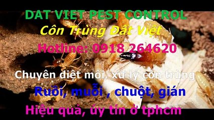 Cong ty diet moi, con trung quan go vap call 0918264620