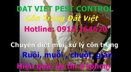 Cong ty diet moi, con trung huyen Binh chanh call 0918264620