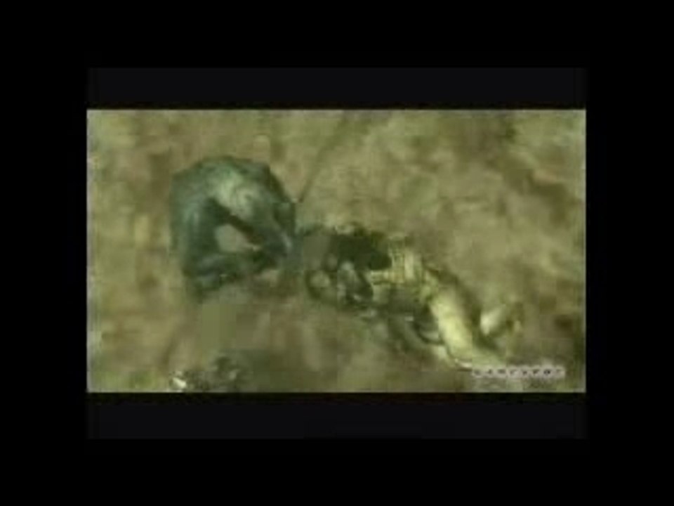 Animation Resident Evil 4 Gundamm MGS 3 Killzone 2 sur SOAD