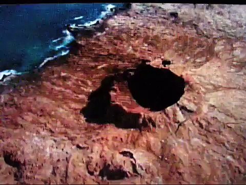 UNIQUE CREATURES OF GALAPAGOS - Discovery Animals Nature