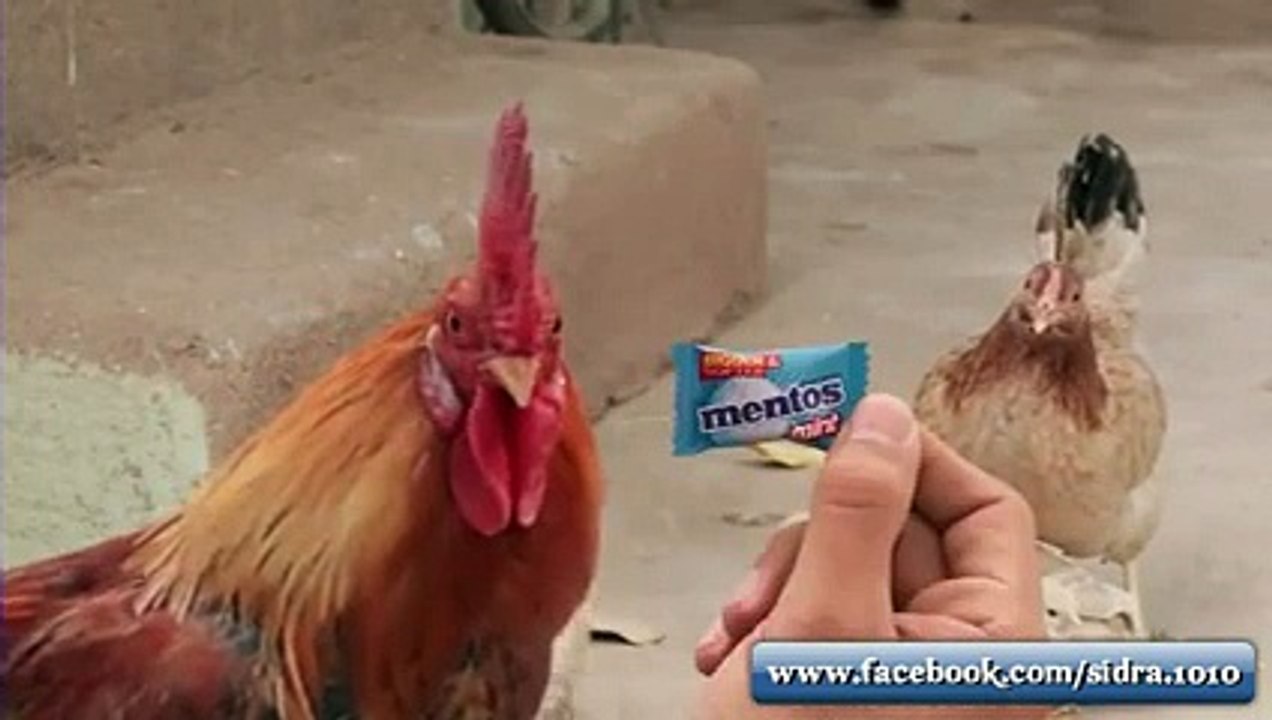 (3) Facebook