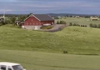 Mesmerizing Grass Waves Roll Across Field