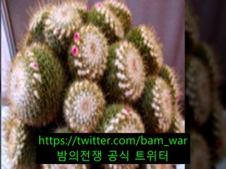 【밤워】공략하기,강북풀싸롱 지명,해운대풀사롱 자료수집,분당풀사롱