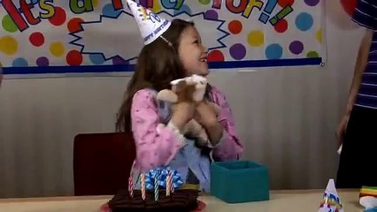 KUNG FU CAVEMAN CHARLIE - (DIRECTOR'S CUT)