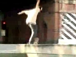 Mike Taylor Dvs "Skate More"