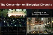 TodaysNetworkNews: BIODIVERSITY: ACTION NOW FOR LIFE on EARTH (UNEP) (DCPI) (SCBD)