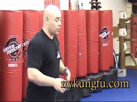 The Choy Lay Fut Project: #1 - Kung Fu