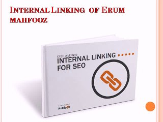 Internal-Linking-of-Erum-mahfooz