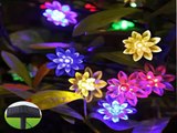 Check Innoo Tech Solar String Lights Christmas RGB 80 Led Lotus Flower Outdoor Light Deal