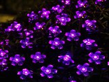 Details Innoo Tech Solar Flower String Lights Outdoor Fairy 50 Led Blossom Lighting for  Top