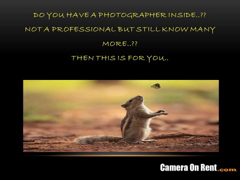 Camera on Rent in Delhi, Camera Rental