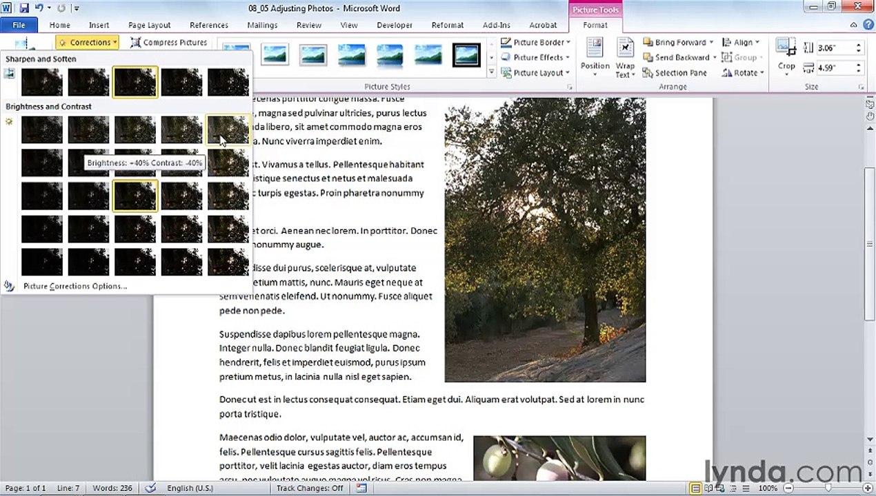 MS Word  Adjusting brightness, contrast, and sharpness of photos