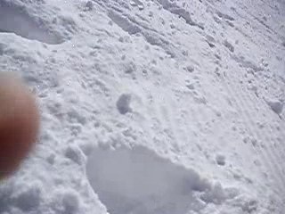 saut d' un toit de chalet de 8metres