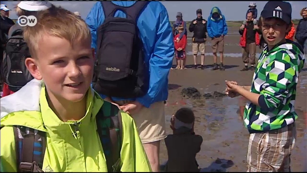 Mission welterbe: wattenmeer | euromaxx