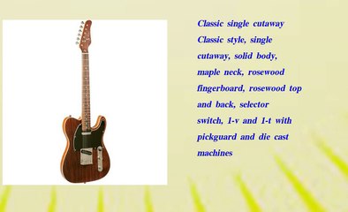 Jay Turser Lt Series Jt lt rw Electric Guitar  Rosewood