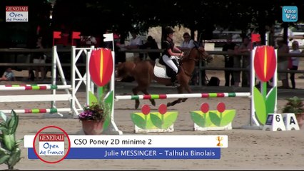 CSO Poney 2D minime 2