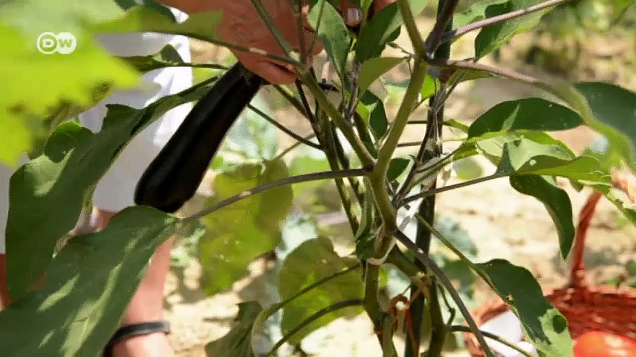 Bulgarien: Griechenlands 'armer Nachbar' | Made in Germany