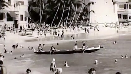Western Union Commercial - Money Transfer
