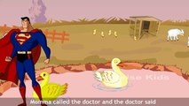 Superman The Animals On The Farm English Nursery Rhymes With Lyrics | Cartoon Rhymes For Preschool