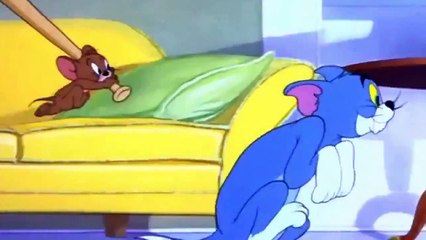 Tom and Jerry Cartoon - Nit-Witty Kitty