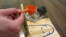 Intelligent Mouse does amazing tricks to get some food