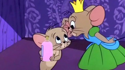Tom and Jerry Cartoon - Of Feline Bondage