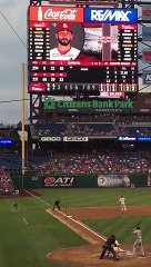 Cet écureuil devient la star du match de baseball !