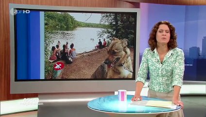Demonstration gegen das so genannte Hundeverbot am Schlachtensee in Berlin