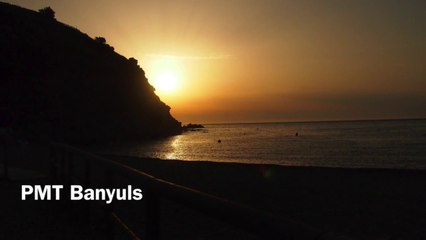 PMT Réserve Banyuls