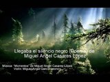 Llegaba el silencio negro (Poema ) de Miguel Angel Casares López