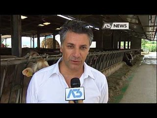 ALLEVATORI IN PIAZZA, NO AL FORMAGGIO SENZA LATTE