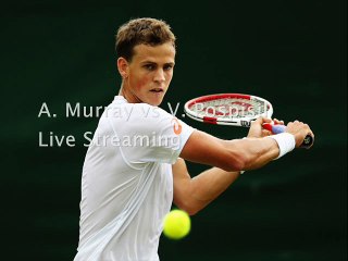 A. Murray vs v. Pospisil Wimbledon Gentlemen's' Singles Tennis