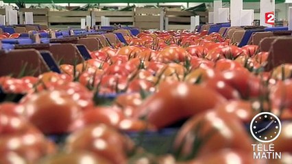 La mobilisation des citoyens plus efficace grâce à internet