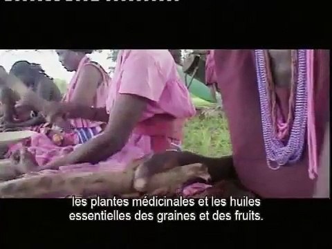 Global Value Chain: Phytotrade - (sous-titres français) Phytotrade Africa, South Africa