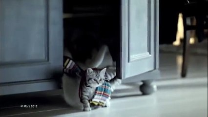 Whiskas® Junior TV-Spot/Werbung 2012