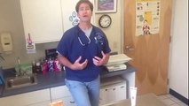 Why Is My Cat Throwing Up? Cat-related Q&A with Vet in Danielson, CT