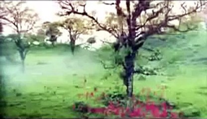 La cruda realidad de Adan y Eva