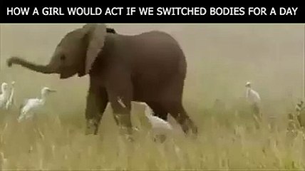 Comment les filles seraient si elles échangeaient de corps pour une semaine