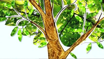 Charlie and Lola.S02E06.I am Collecting a Collection