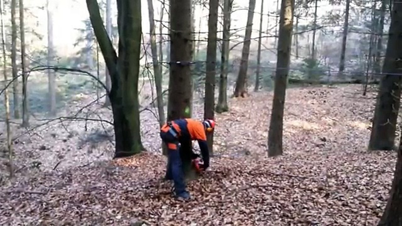 Husqvarna 550 xp