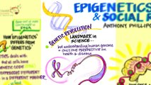 Epigenetics, Brain Science and Social Responsibility by Anthony Phillips, Brain Matters! Vancouver M