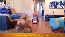 Best Funny Baby, Cats and Dogs Compilation 2015, Funny videos, funny animals