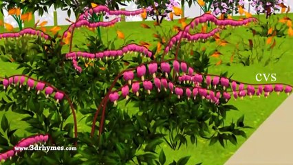 11  Kids Songs   Animal Finger Family   Finger Family Song   Animal Songs Nursery Rhymes YT f22KrOxb