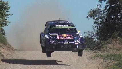 WRC Rally Pologne 2015 - Jump Compilation