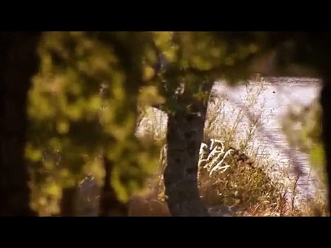 bosco e ines capitulo 1109