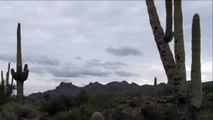 Cloud Time-Lapse from Lost Dutchman State Park - February 22, 2015