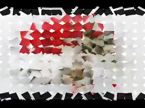 Methods To Do Away With Dog Urine Odor Spot From Floors!